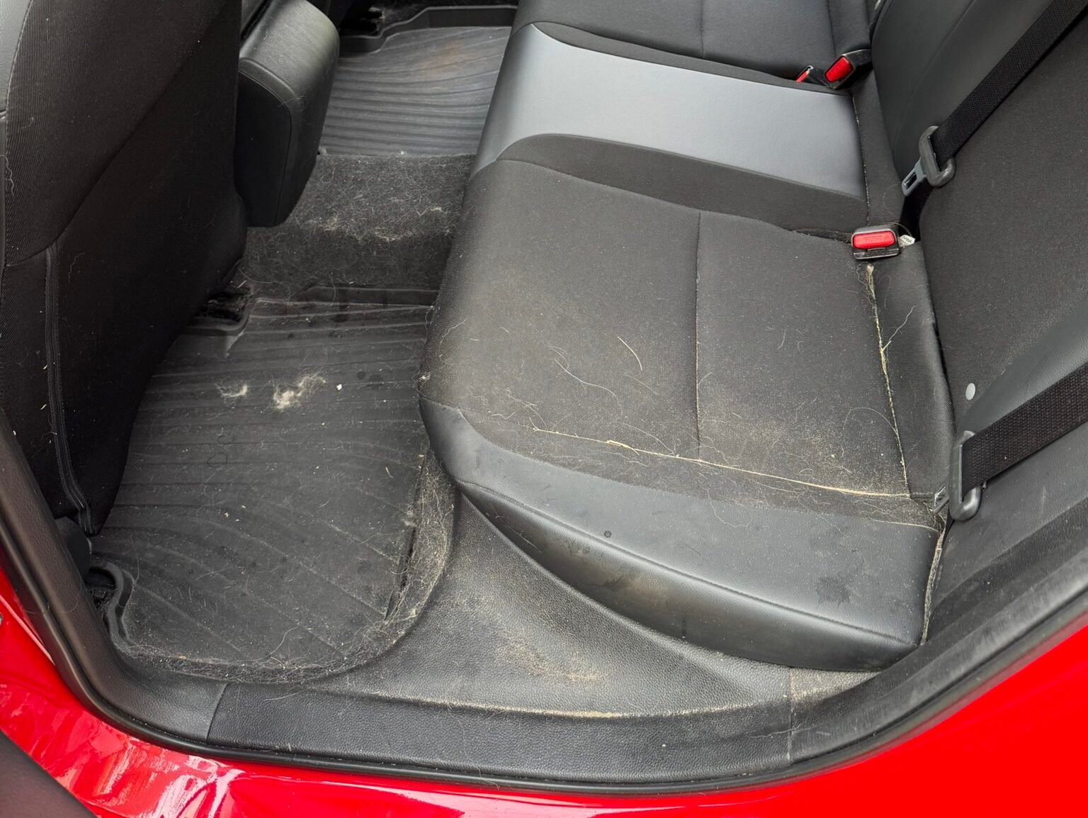 Before Interior detail with heavy pet hair of red Honda Civic in Orange Park, FL